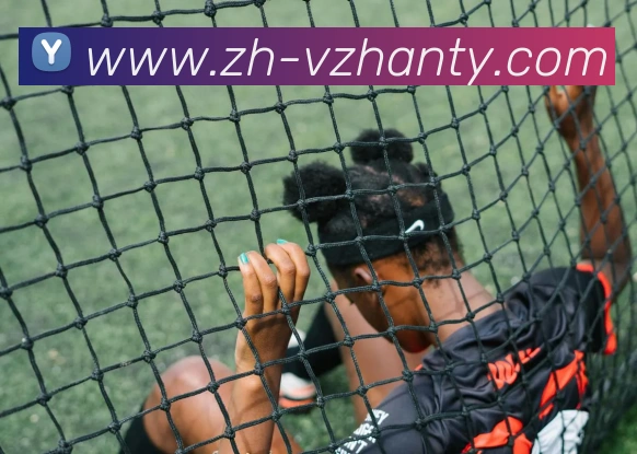 v站体育发展历程