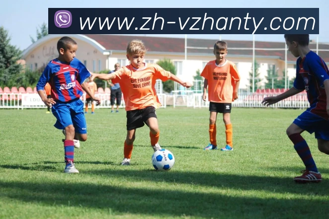 足彩26008期任九开奖共2799注 单注3779元