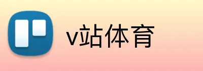 v站体育 logo